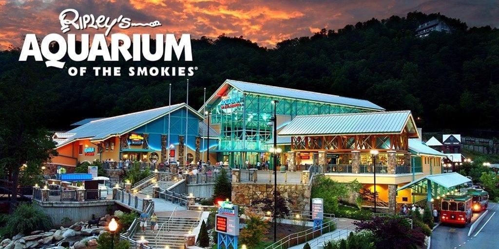 210 Cubs In The Treetops - Luxurious Cabin In Gatlinburg Esterno foto